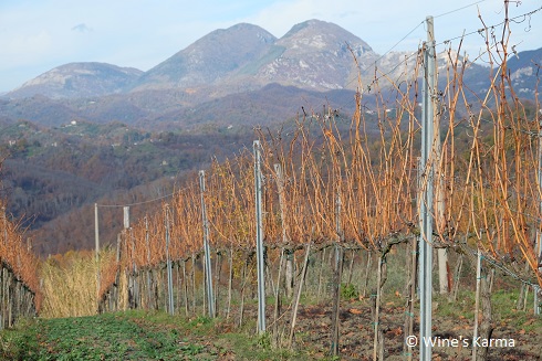 Affile …Terra di Cesanese&nbsp;DOC