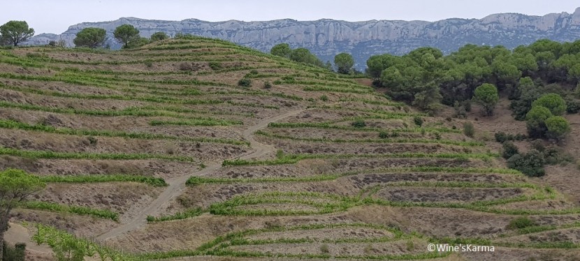 Emozione Priorat